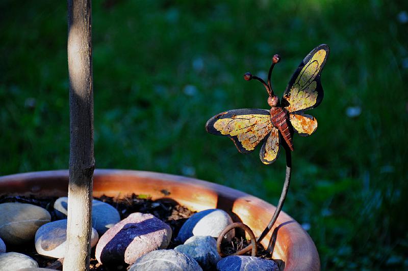 Detail im Garten-2.jpg